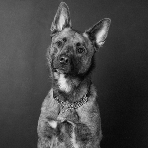 Fundraising Page: Vlady Close